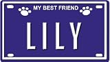 412Il qiULL. SL160  LILY Dog Name Plate for Dog House. Over 400 Names Availaible. Type in Name Dog Plate in Search. Your Dog Name will show up.