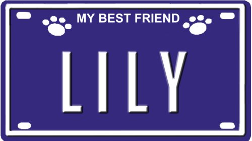 LILY Dog Name Plate for Dog House. Over 400 Names Availaible. Type in Name
