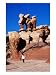 Devil's Garden, Grand Staircase, Escalante , U.S.A. Photographic Poster Print by Curtis Martin, 18x24