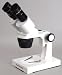 20x - 40x Binocular Stereo Microscope with Stand