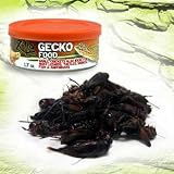 Gecko Food Canned 1.7oz