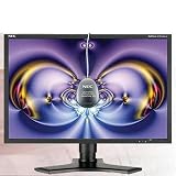 NEC MultiSync LCD2490WUXi-BK-SV - LCD display - TFT - 24.1