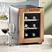 Wine Enthusiast Silent 6 Bottle Wine Refrigerator (Copper Trim Door)