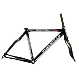Pinarello Prince SL Road Frameset