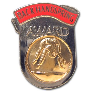Buy Back Handspring Award Pin.