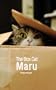 The Box Cat Maru.
