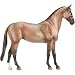 Sport Horse - Grullo