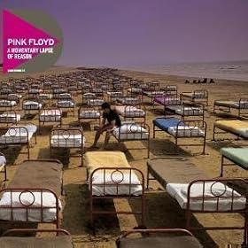 A Momentary Lapse Of Reason