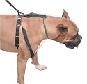 *RESTRAINING HARNESS LARGE 48