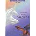 Tu Futuro en tus sueños (Your Future in your Dreams) (Spanish Edition)