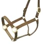 Preakness Leather Track Halter Horse (44-2046)