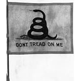 Professionally Framed Don't Tread on Me (Flag) Poster - 13x19 with RichAndFramous Black Wood Frame Professionally Framed Don't Tread on Me (Flag) Poster - 13x19 with RichAndFramous Black Wood Frame