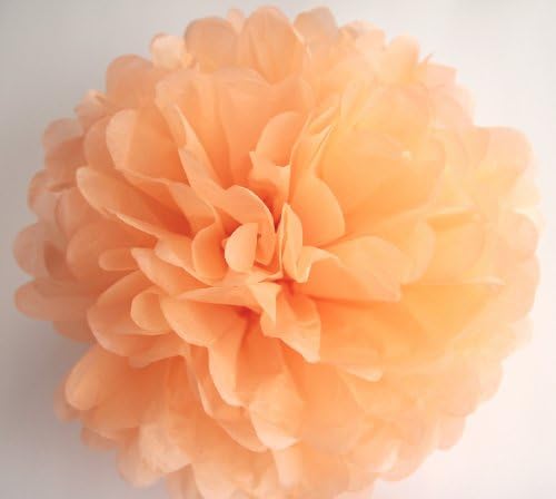 Set of 5 Tissue Paper Pom Pom - PomPomSale Brand - Wedding / Baby Shower / Birthday Party / Nursery Decorations (Small 9", Peach)