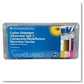 Vanguard Puppy 5/CV Vaccine - 25 Dose Package