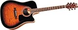 Washburn D10CEQ Dreadnought Cutaway Acoustic-Electric Guitar (Sunburst)