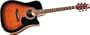 Washburn D10CEQ Dreadnought Cutaway Acoustic-Electric Guitar (Sunburst)