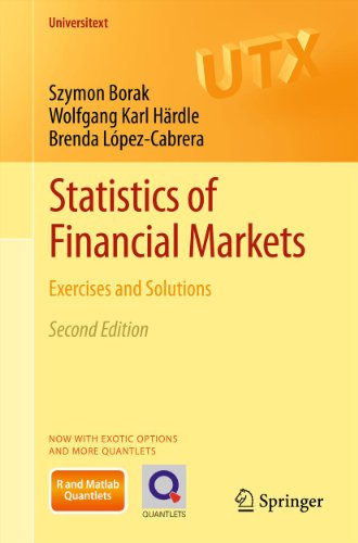 Statistics of Financial Markets: Exercises and Solutions (Universitext)