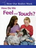 How Do We Feel and Touch? (How Our Bodies Work)