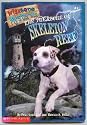 The Treasure of Skeleton Reef - Wishbone Mysteries (Volume 1)