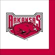 University of Arkansas Razorbacks Luncheon Napkins