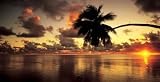 Aitutaki Lagoon, Cook Islands by Peter Hendrie,54.2 in. x 27.5 in.