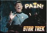 Star Trek Spock Pain Magnet 29450ST