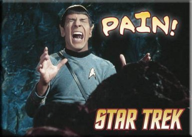 Star Trek Spock Pain Magnet 29450ST
