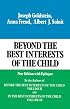 Beyond the Best Interests of the Child