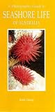 A Photographic Guide to Seashore Life of Australia (Photographic Guides of Australia)