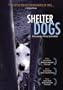 SHELTER DOGS