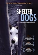 SHELTER DOGS