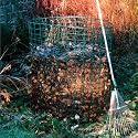 Leaf Mould Compost Bin
