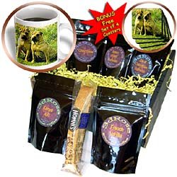 Dogs Chinese SharPei - Chinese SharPei - Coffee Gift Baskets - Coffee Gift Basket by 3dRose LLC