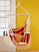 Amazonas Brasil Royal Swinging Chair