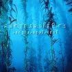 Aquaplant