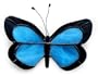 Glass wall adornment, 'Butterfly from Ica'