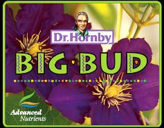 Advanced Nutrients Big Bud - 130 Grams