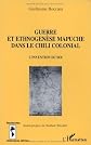 Guerre et ethnogenèse mapuche dans le Chili colonial: L'invention du soi (Recherches Amériques latines)