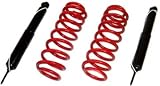 1990-2002 Lincoln Town Car Rear Air Suspension Conversion Kit w/ Rear Shocks