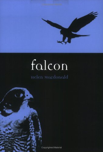 Falconry