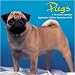 pug14  - Pugs 2010 Wall Calendar