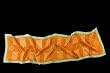 Rectangular Scarf 55" X 15" Colonial Buildings in Orange