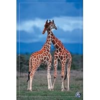 High Love, Save Our Planet (Giraffes) Art Poster Print
