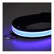 Adjustable LED Illumination Pet/Dog Collar, Medium, Blue Adjustable LED Illumination Pet/Dog Collar, Medium, Blue
