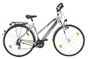 Texo Damen Trekking Fahrrad Alu, stratosilber, Rahmenhöhe: 45 cm, Reifengröße: 28 Zoll (71,1 cm), 21110-0938256