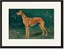 Black Framed/Matted Print 17x23, Coursing Greyhound