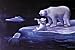 Coca Cola - Poster (Polar Bears) (Size: 36