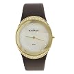 Ladies' Skagen Studio Crystal–Accent Watch