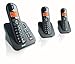 Philips CD1553B/38 DECT Schnurloses Telefon mit Anrufbeantworter, 3 Mobilteile, schwarz