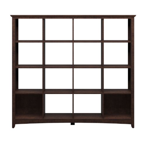 Bush Furniture Buena Vista 16-Cube Bookcase/Room Divider Storage